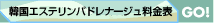 �؍��G�X�e �����p�h���i�[�W�������\